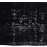 Black Carpet M(147)