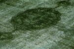 Mono color Green Rug (185) - Image 2