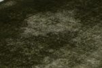 Mono Color Green Rug (401) - Image 2