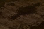 Mono Color Rug (509) - Image 2