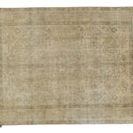 Vintage Decolorized Rug V (449)
